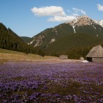 Randonnée en Pologne Tatras Karpates